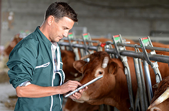application-for-livestock-management