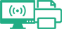 Television / Radio / Print